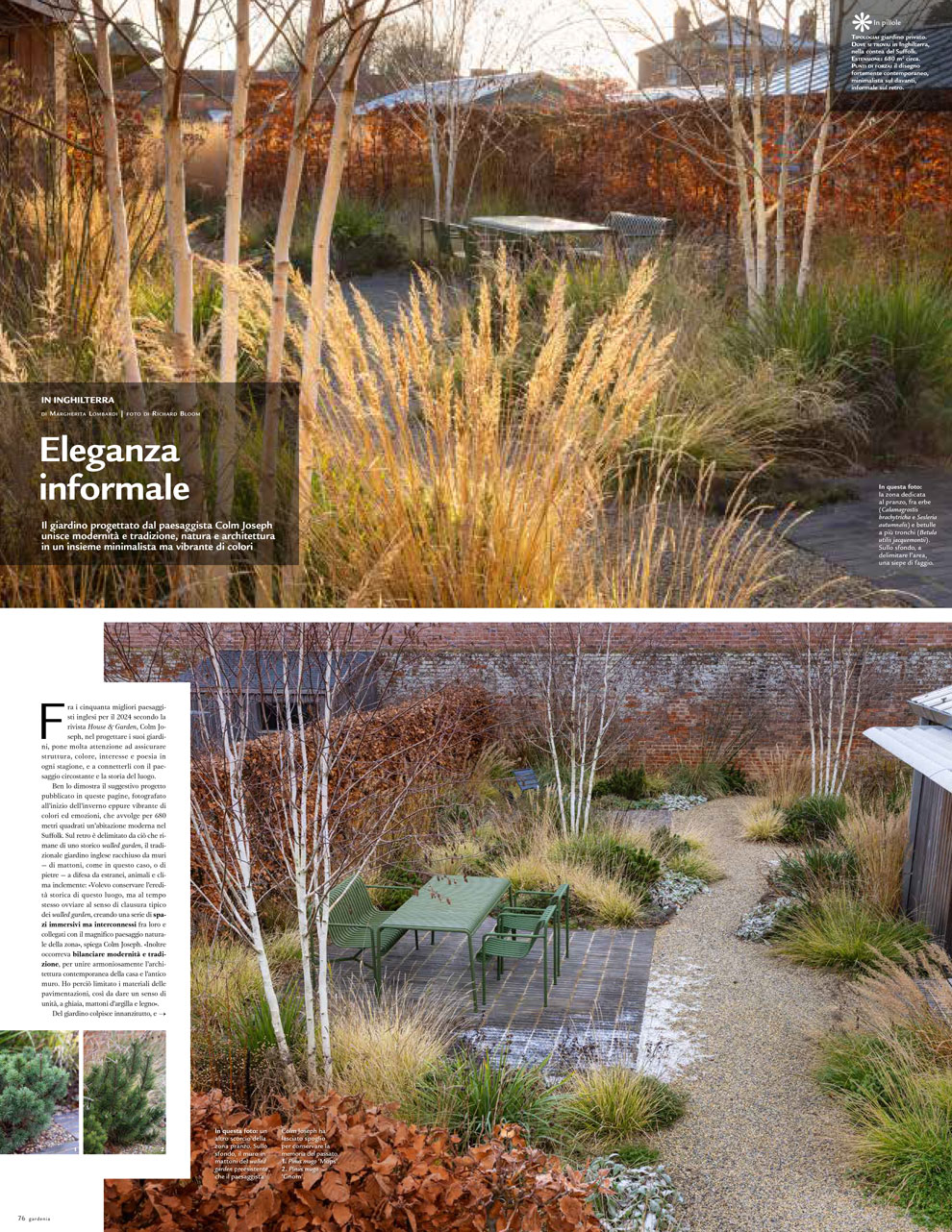 Colm Joseph Gardenia magazine Suffolk walled garden winter feature December 2024