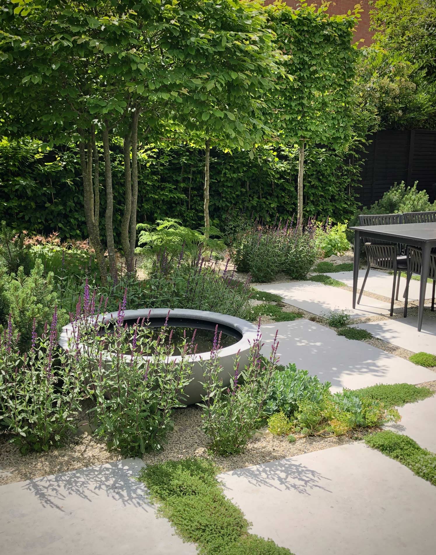 Colm Joseph Suffolk garden designer contemporary landscape design pleached trees limestone paving creeping thyme water bowl feature tree hornbeam seating area hedge table and chairs 