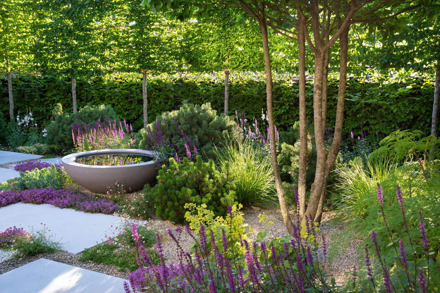 Colm Joseph Suffolk garden designer modern garden naturalistic planting design pleached hornbeam trees water bowl limestone paving
