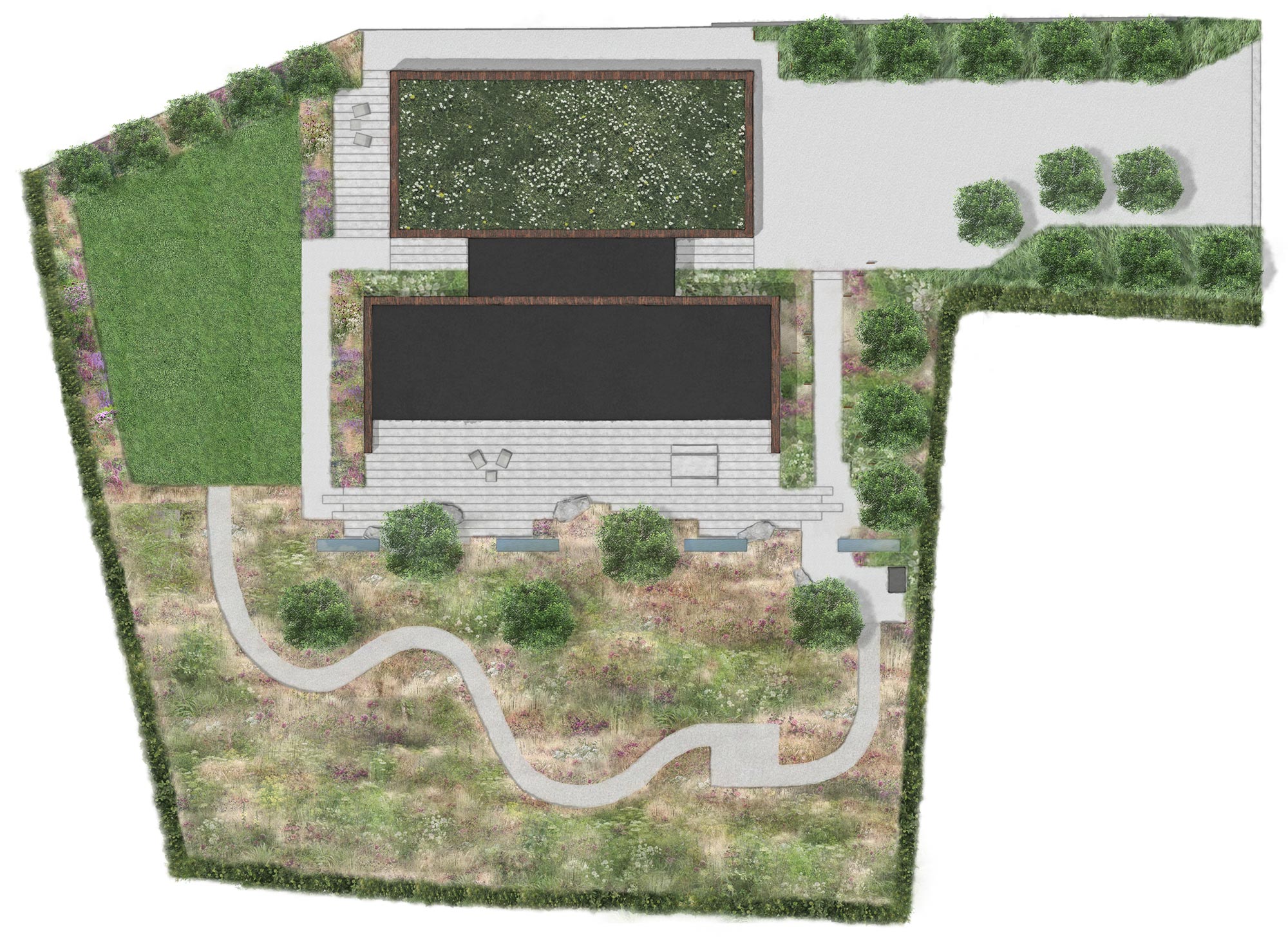 Colm Joseph Cambridgeshire garden designer modern garden design plan
