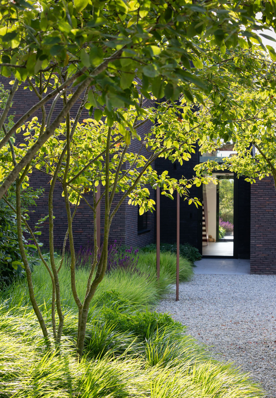 Colm Joseph garden design cambridgeshire amelanchier lamarckii hakonechloa macra minimalist landscape design modern architecture gravel pathway corten steel screens - Photo by Richard Bloom