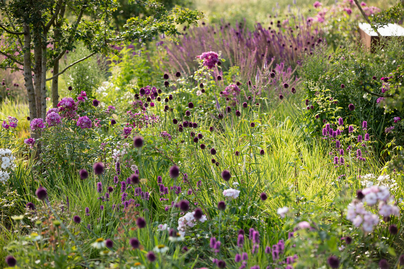 Cambridgeshire Garden | A modern English country garden