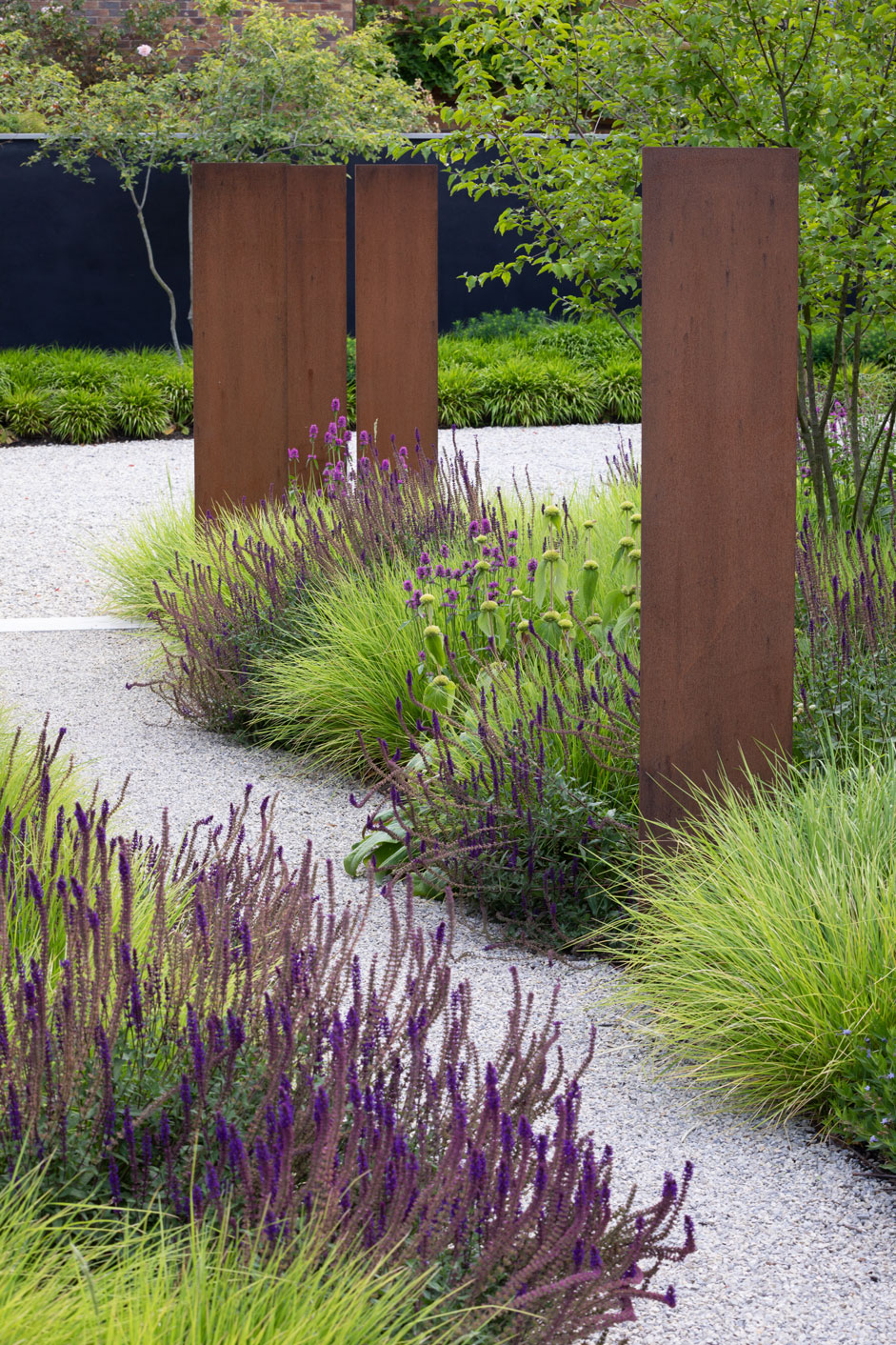 Colm Joseph garden designer cambridgeshire gravel path corten steel screens sesleria autumnalis salvia caradonna amsonia blue ice phlomis russeliana - Photo by Richard Bloom