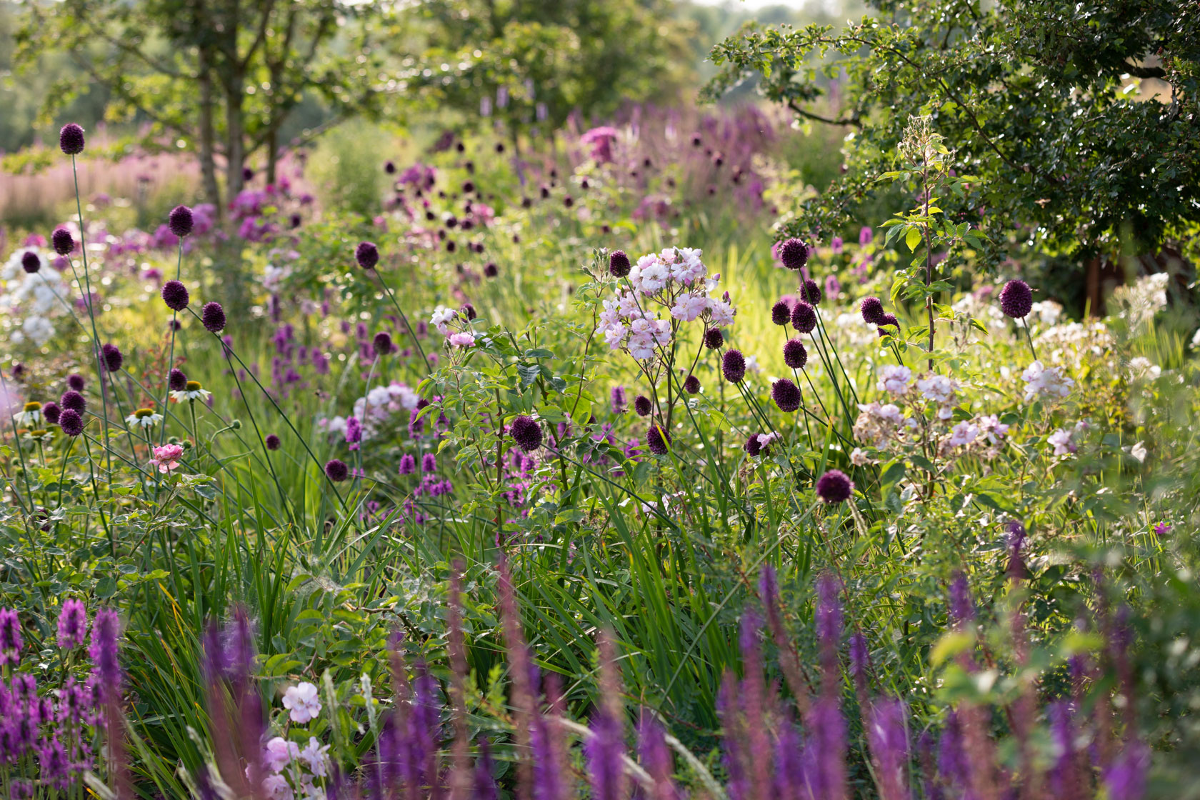 Cambridgeshire Garden | A modern English country garden