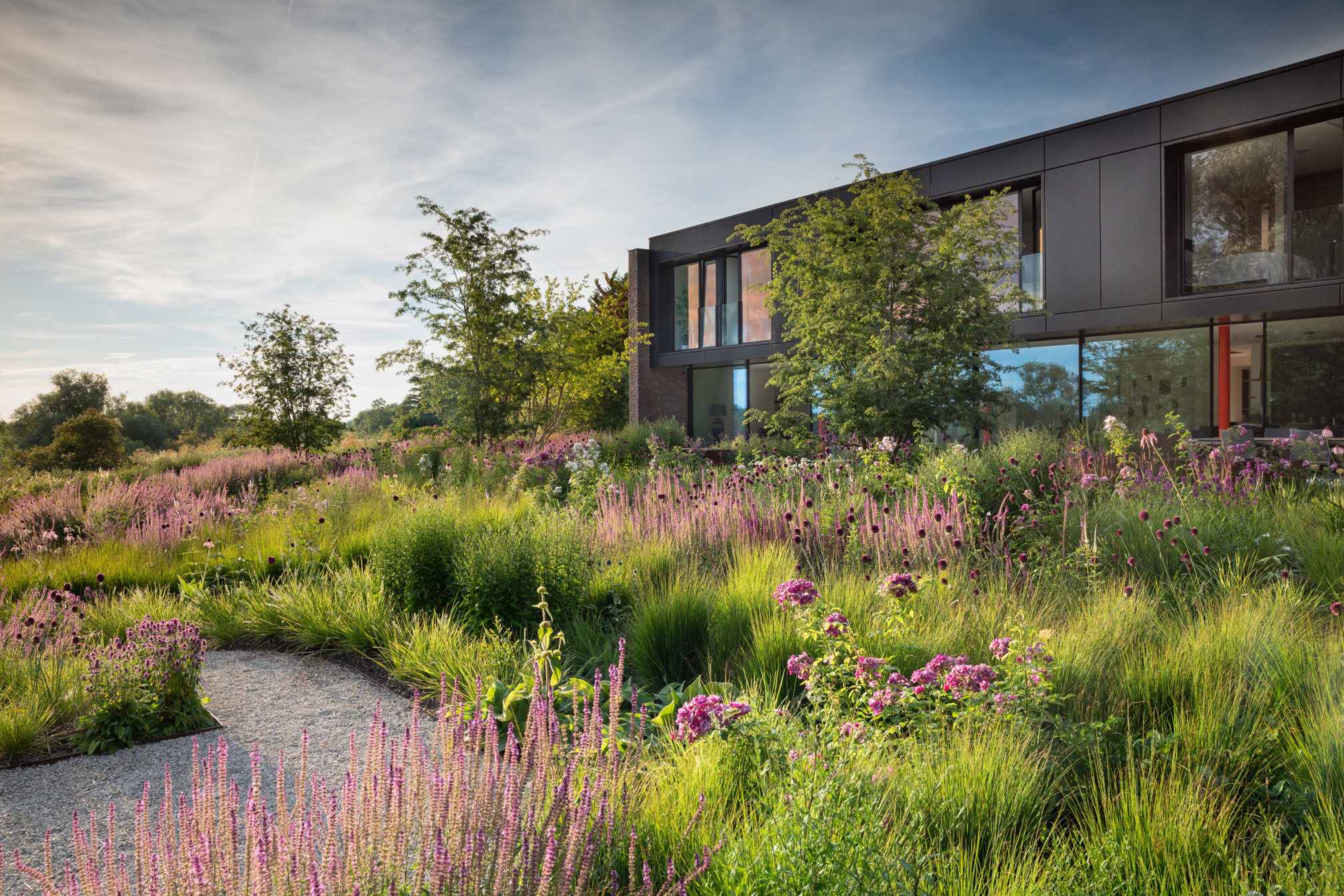 Colm Joseph garden designer cambridgeshire rose meadow modern architecture naturalistic planting design