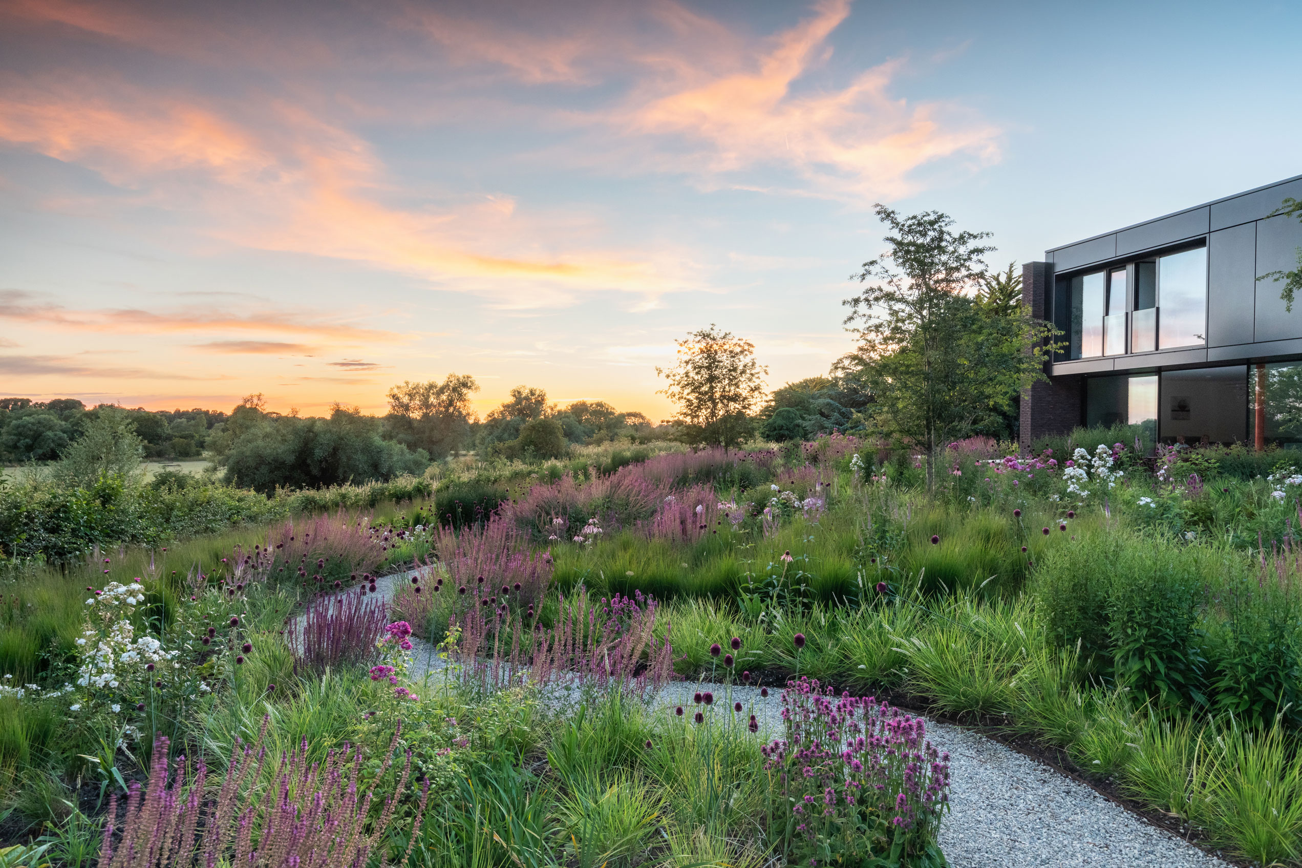 Colm Joseph garden designer cambridgeshire rose meadow modern architecture naturalistic planting design gravel path