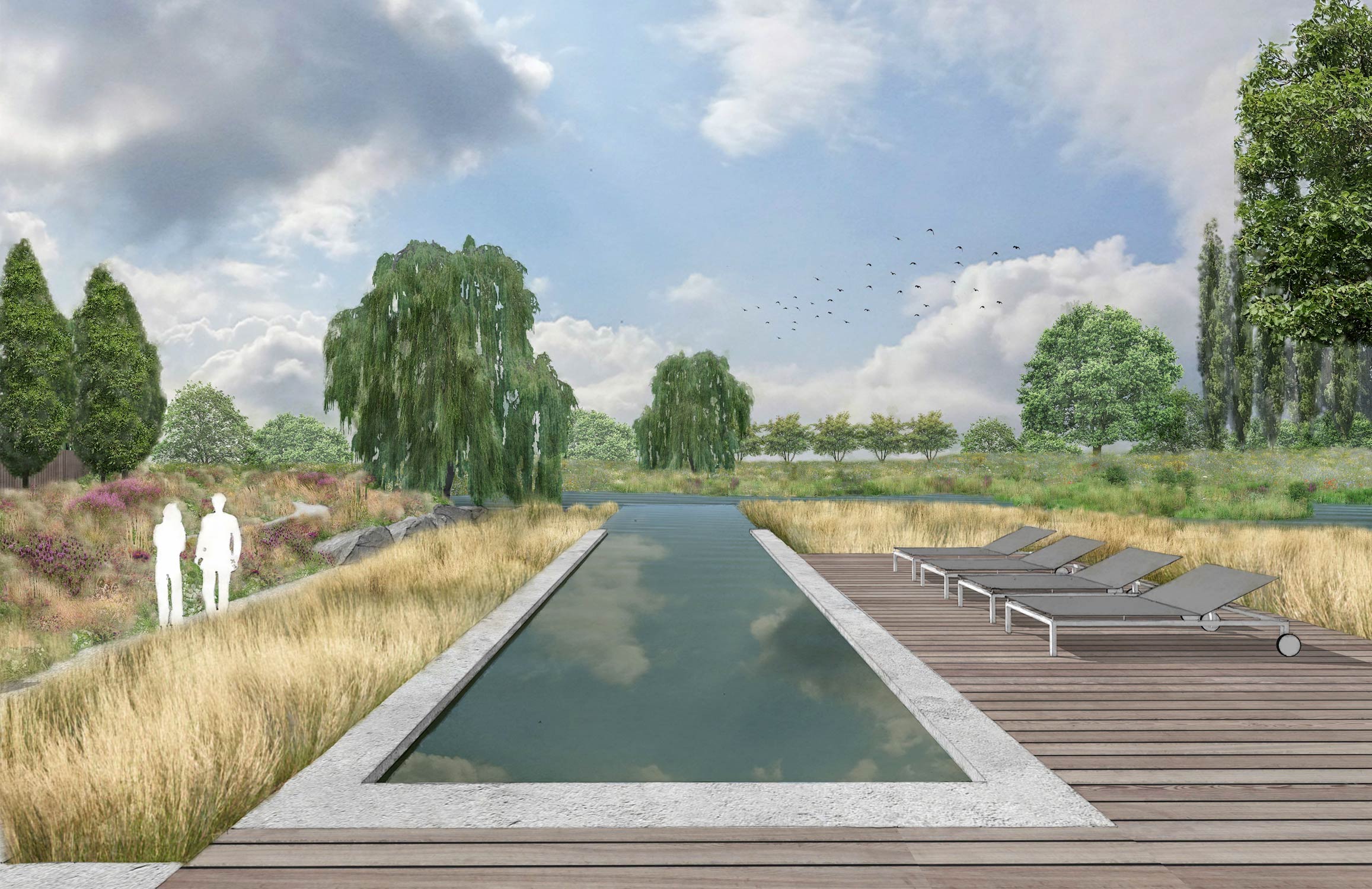 Colm Joseph Gardens - modern cambridgeshire landscape swimming pool naturalistic planting design.