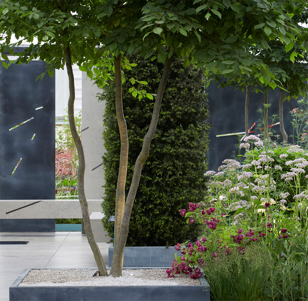 Colm Joseph Gardens - RHS Chelsea Flower Show award winning garden design