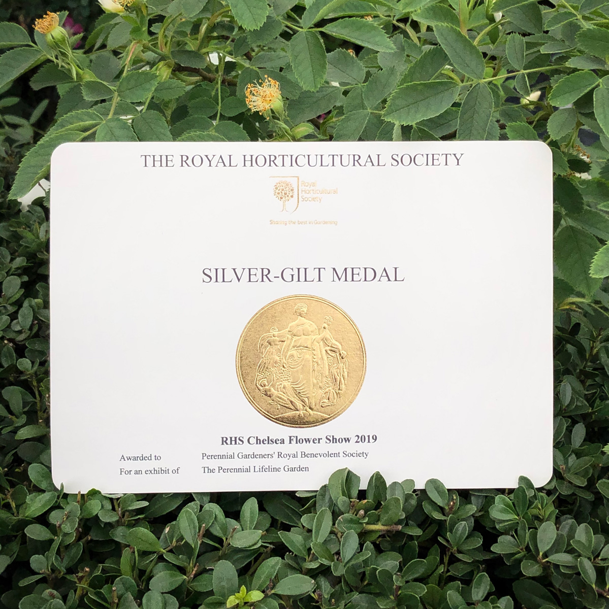 Colm Joseph Gardens - RHS Chelsea Flower Show silver-gilt medal