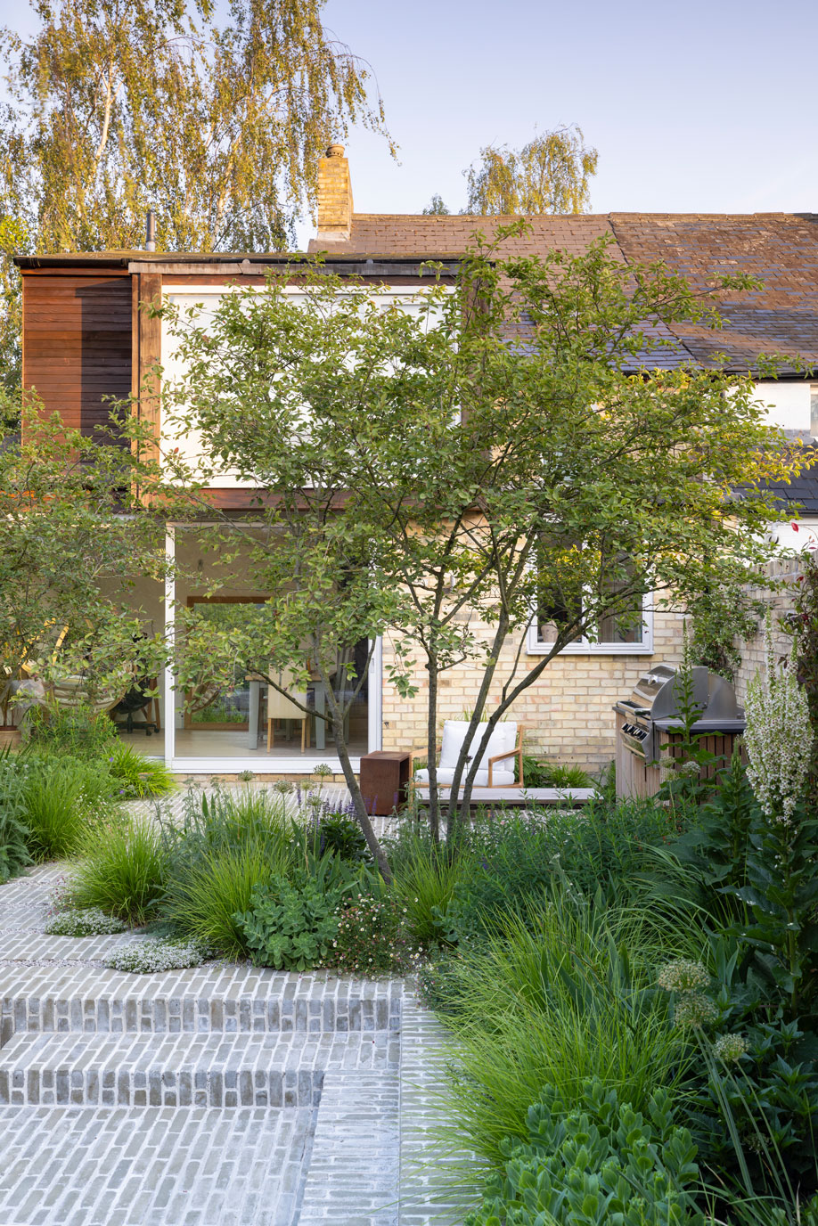Colm Joseph Cambridge courtyard garden design sunken seating area multi-stem tree