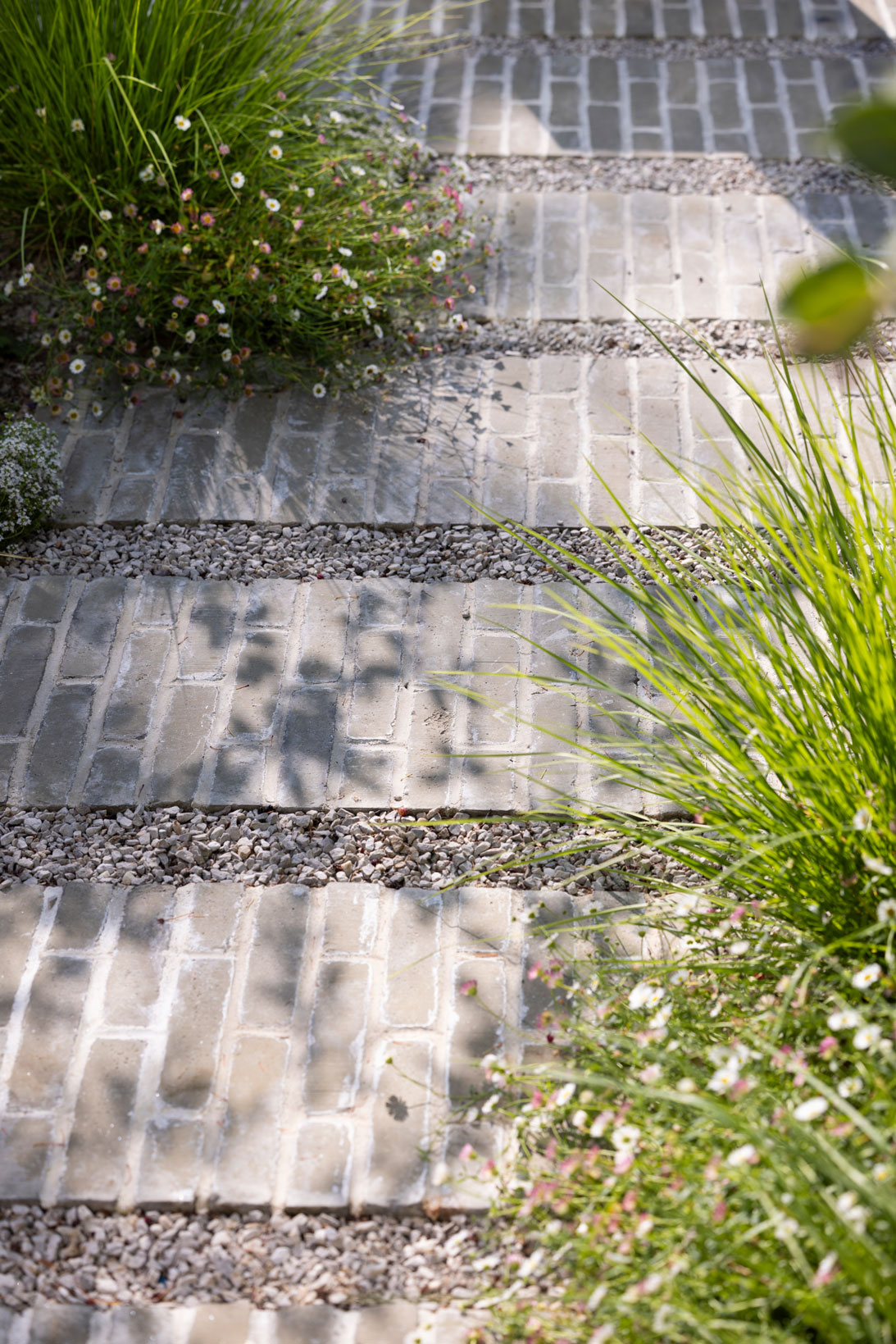 Colm Joseph Cambridge courtyard garden design clay pavers gravel detail Erigeron sesleria