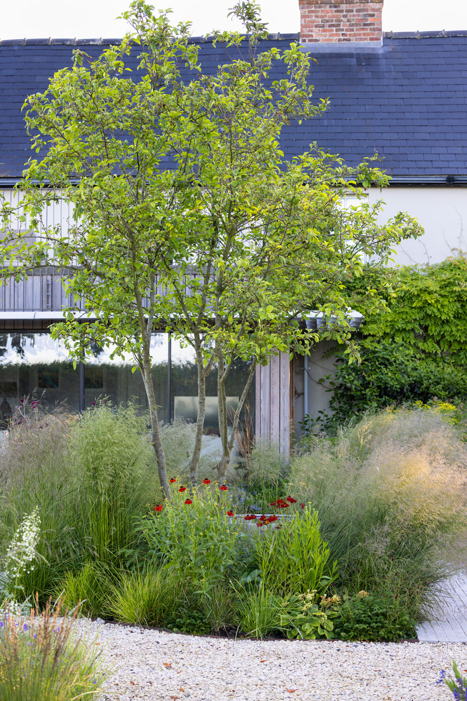 Colm Joseph Cambridgeshire country garden house modern extension limestone gravel pavers multi-stem malus red jewel tree deschampshia helenium