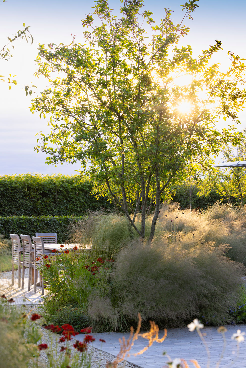 Colm Joseph Cambridgeshire country garden limestone gravel pavers dining seating multi-stem malus red jewel tree perennial planting deschampsia goldtau helenium hornbeam hedge