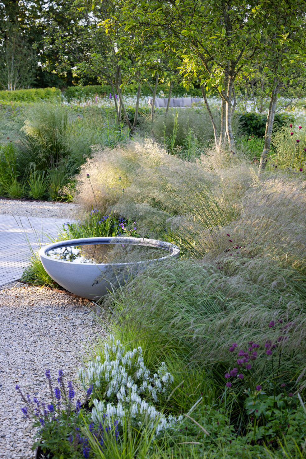 Colm Joseph Cambridgeshire country garden limestone gravel pavers multi-stem malus trees water bowl naturalistic planting design curved hornbeam hedge deschampsia astrantia salvia