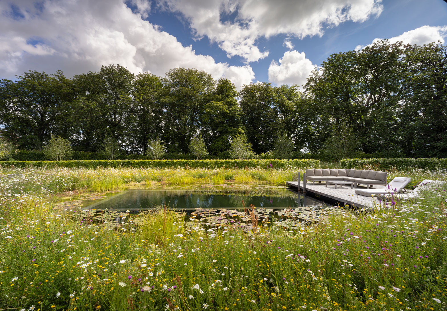 Colm Joseph Cambridgeshire country garden natural swimming pond wildflower meadow hornbeam hedging chestnut trees timber deck lounge seating furniture