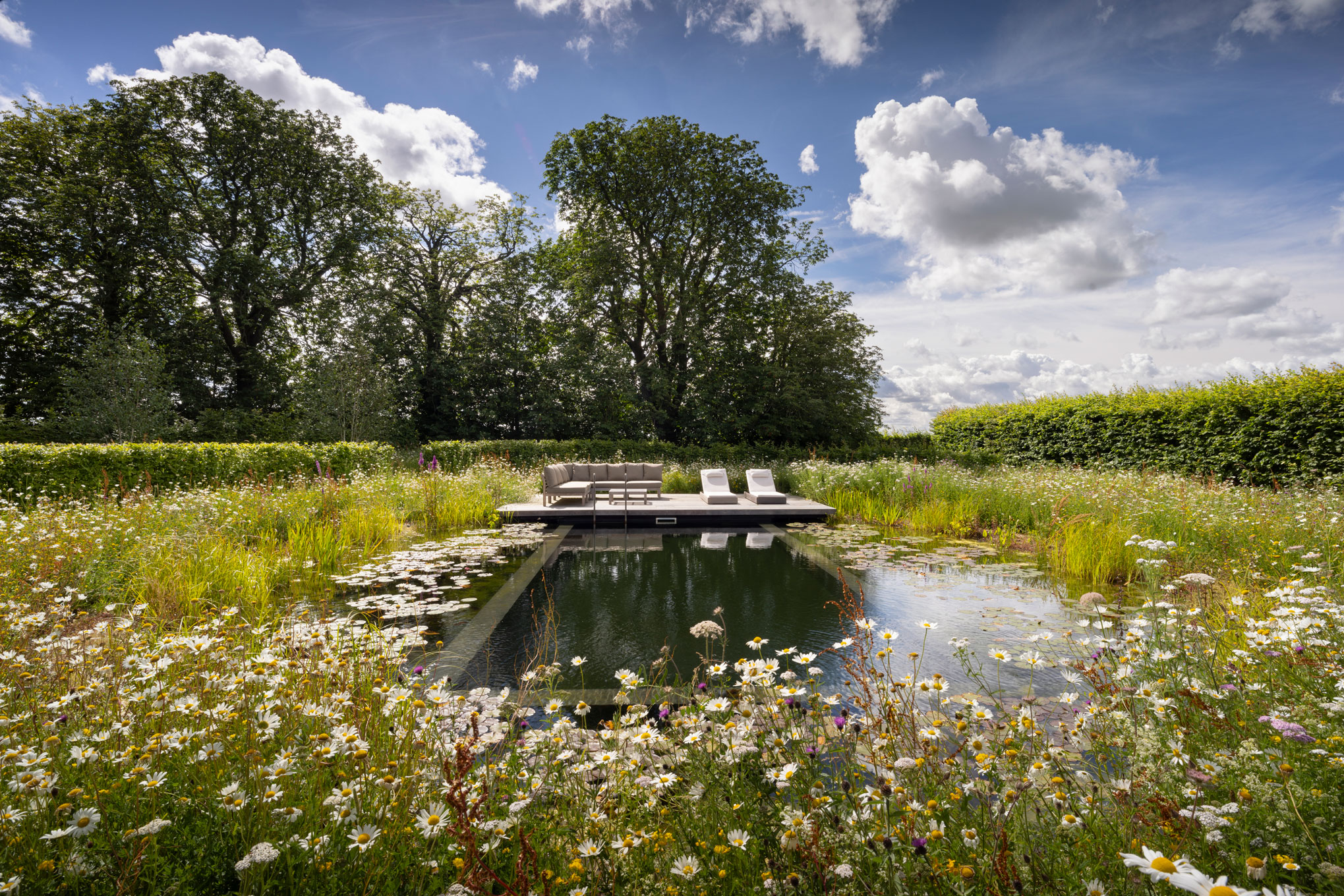 Colm Joseph Cambridgeshire country garden natural swimming pond wildflower meadow hornbeam hedging timber deck garden furniture