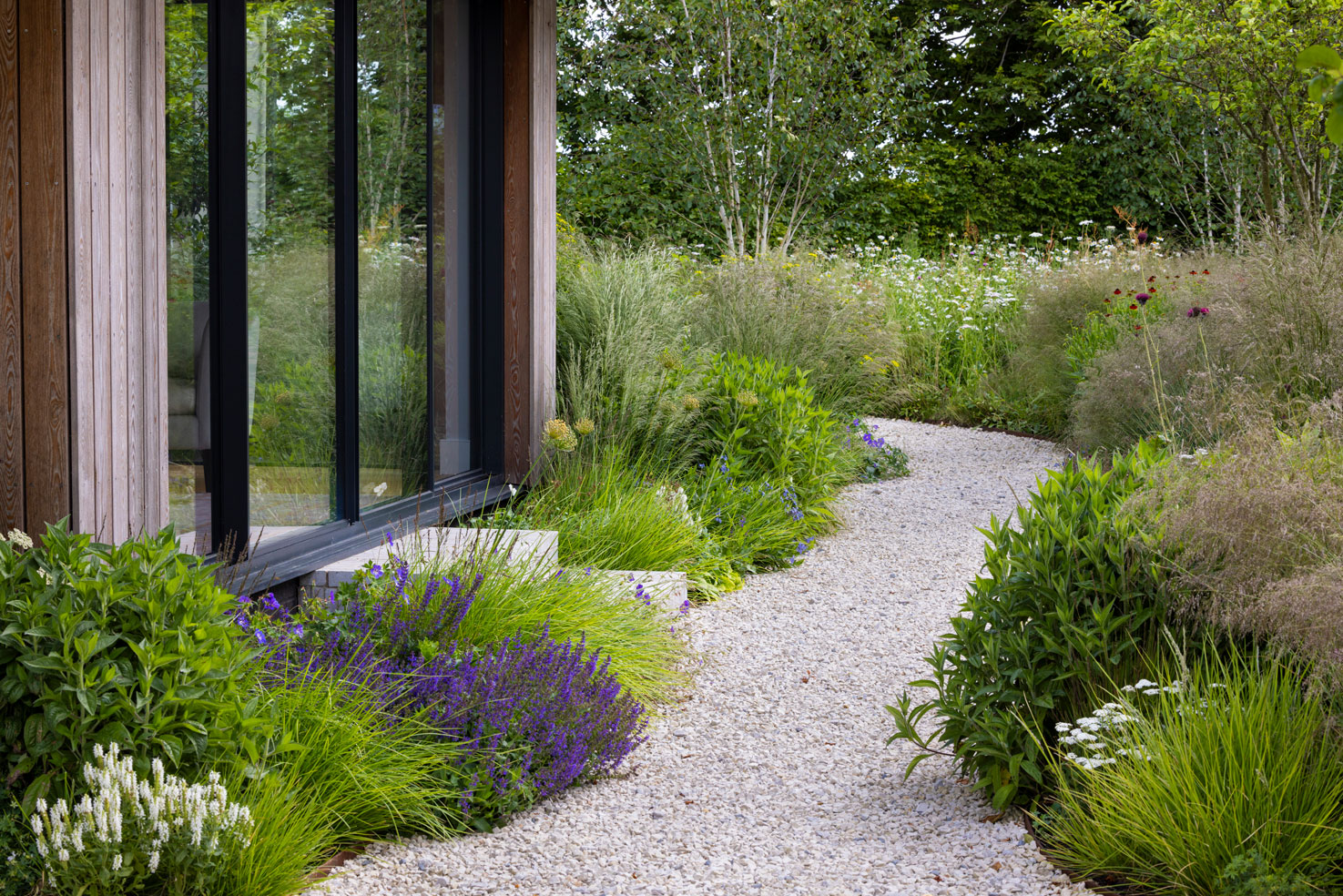 Colm Joseph Cambridgeshire country garden naturalistic planting design curved gravel path modern home timber cladding