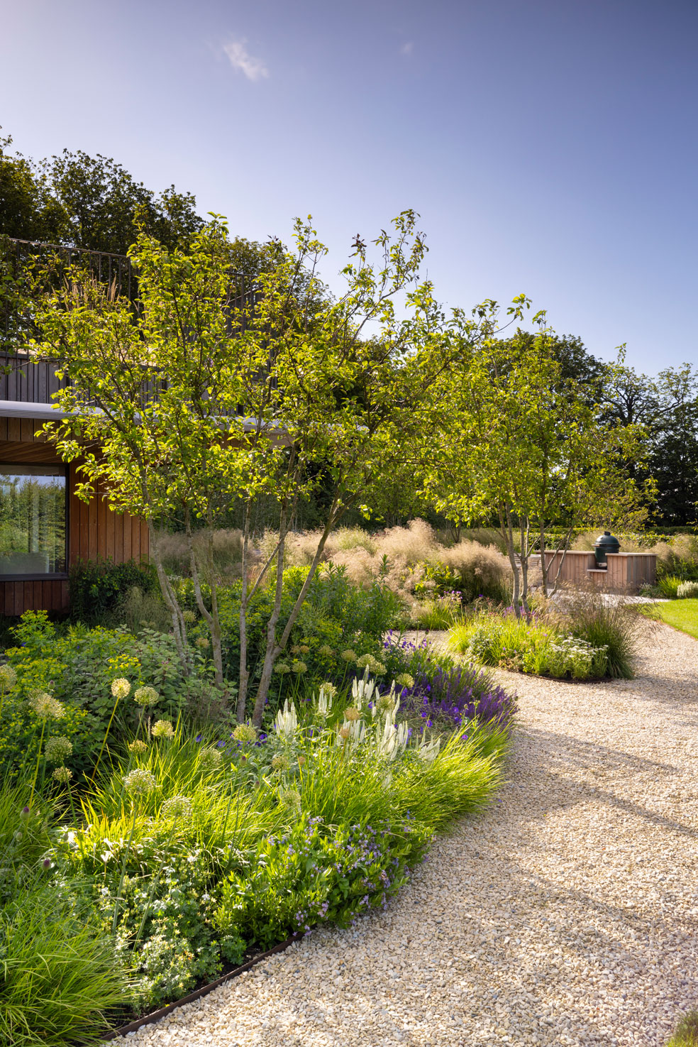 Colm Joseph Cambridgeshire country garden naturalistic planting multi-stem crabapple trees curved gravel path lawn modern timber extension outdoor kitchen