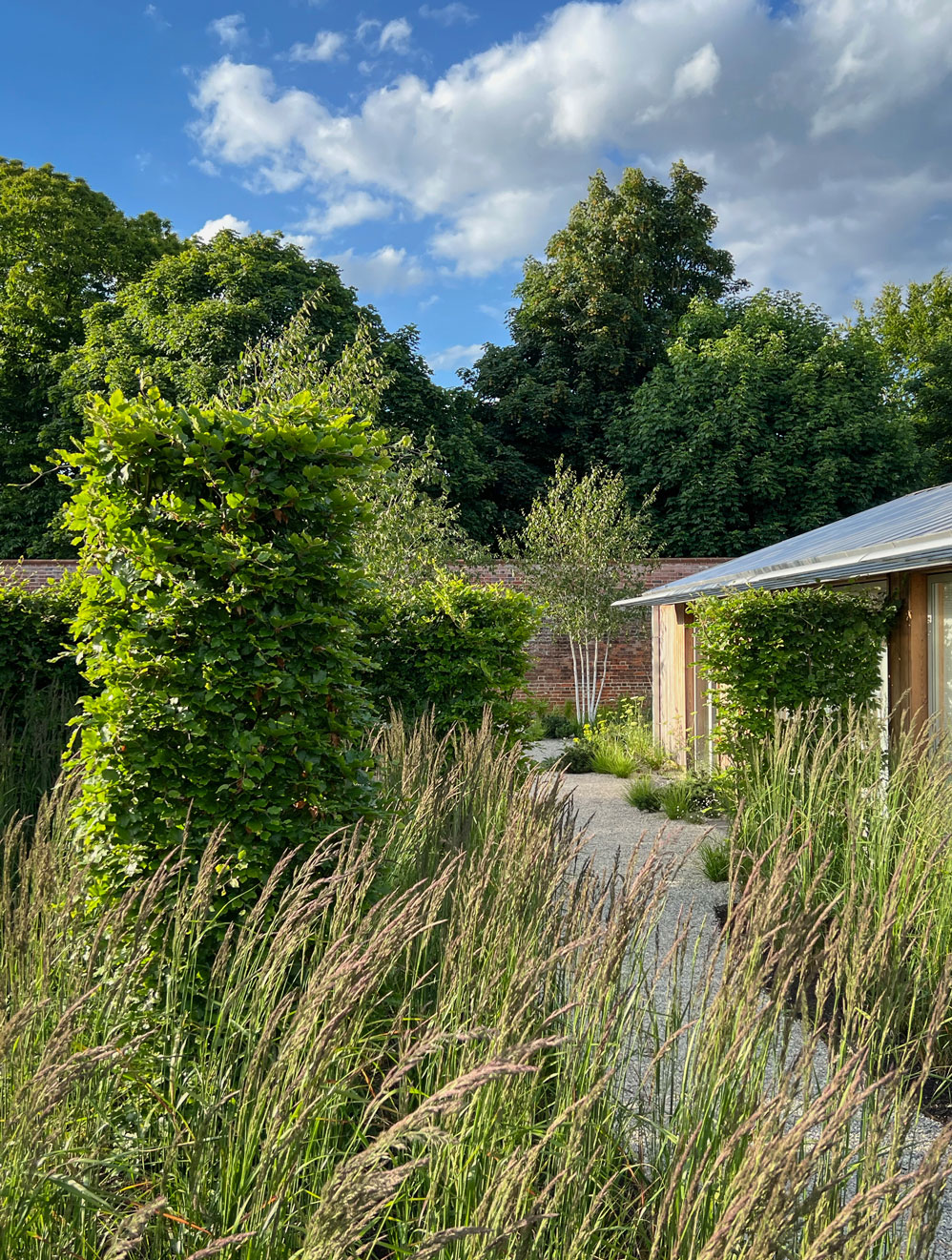 Contemporary garden design in Cambridge, Suffolk & Norfolk