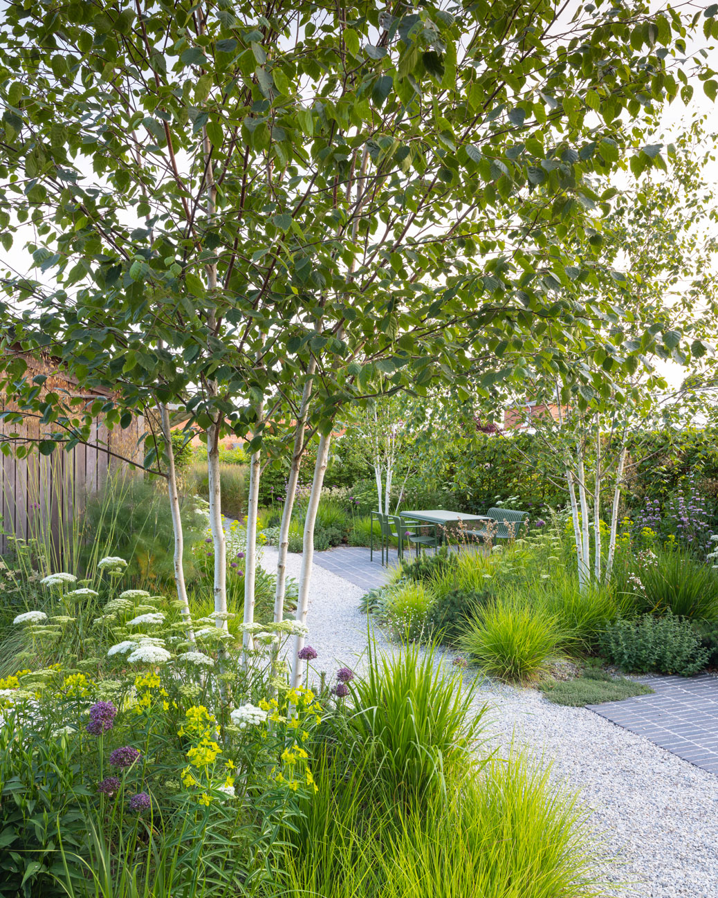 Colm Joseph Suffolk modern gravel garden design birch trees clay pavers sesleria cenolophium euphorbia allium