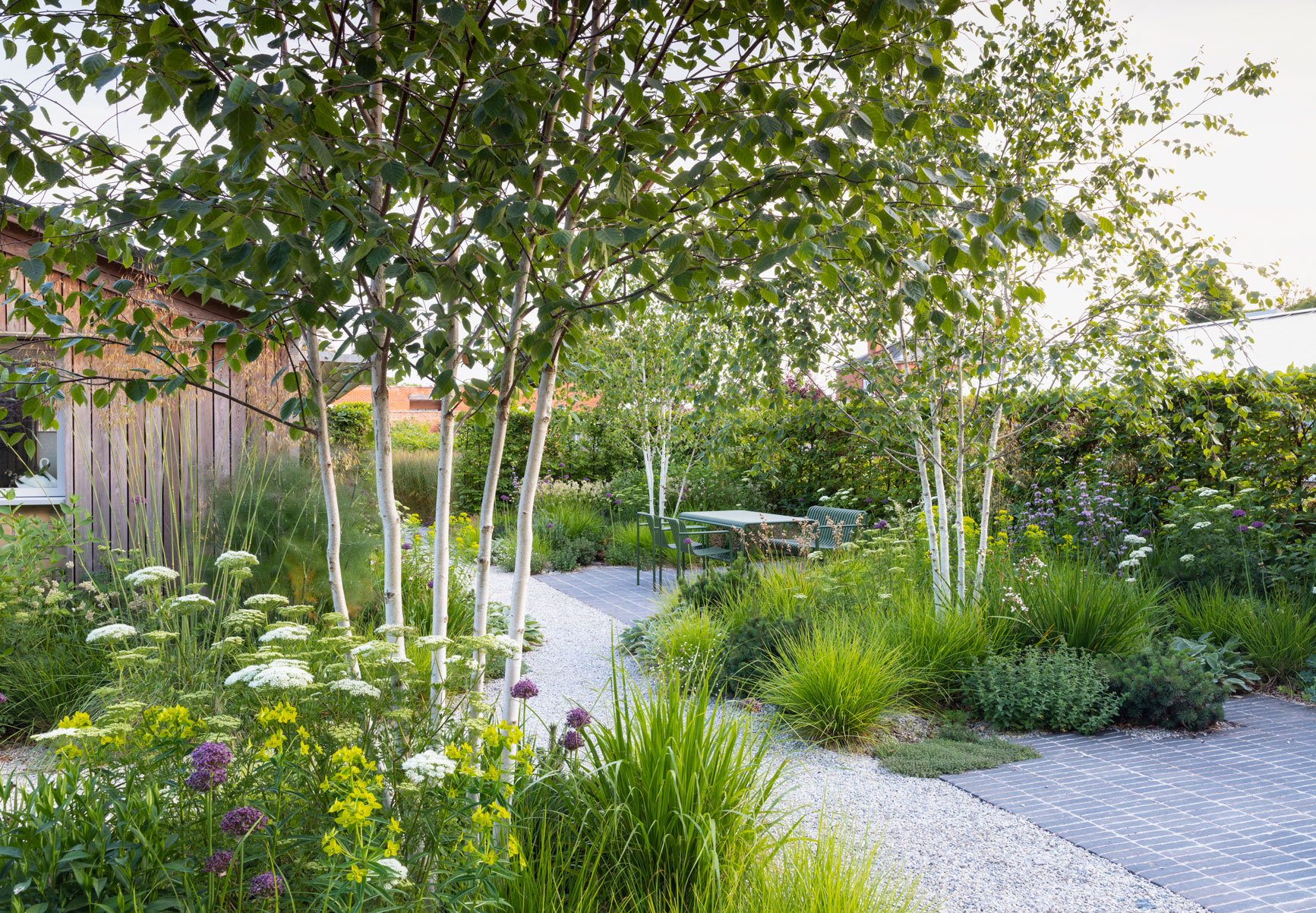 Colm Joseph suffolk garden design gravel gardens seating area clay pavers hay dining furniture cenolophium allium birch trees sesleria dwarf pines