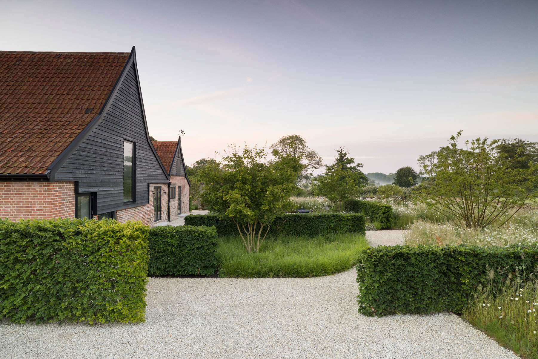 Colm Joseph suffolk garden design converted barn modern home entrance multi-stem acer campestre minimalist beech hedges ornamental grass planting sesleria wildflowers