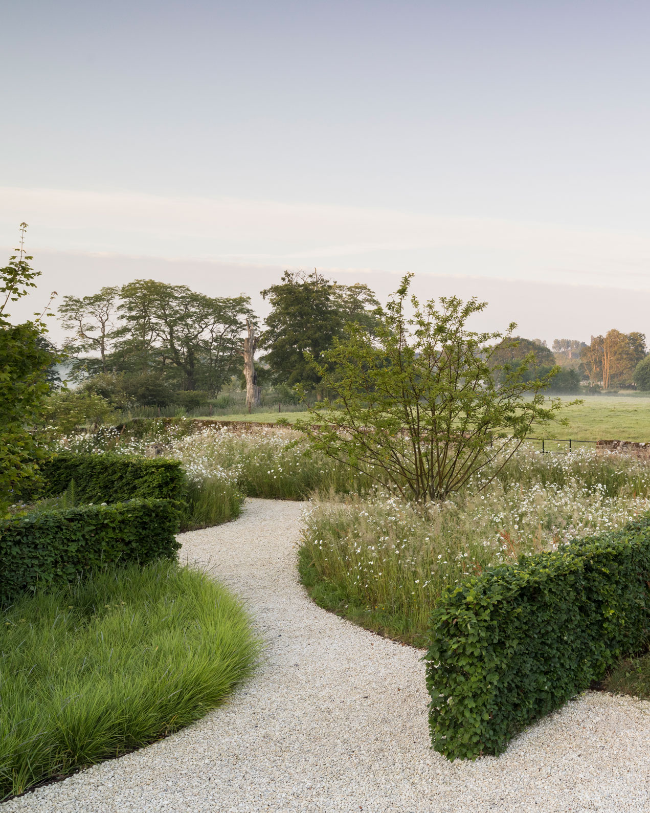 Colm Joseph suffolk garden design minimalist beech hedges ornamental grass planting sesleria wildflowers multi-stem crabapple trees gravel paths landscape view