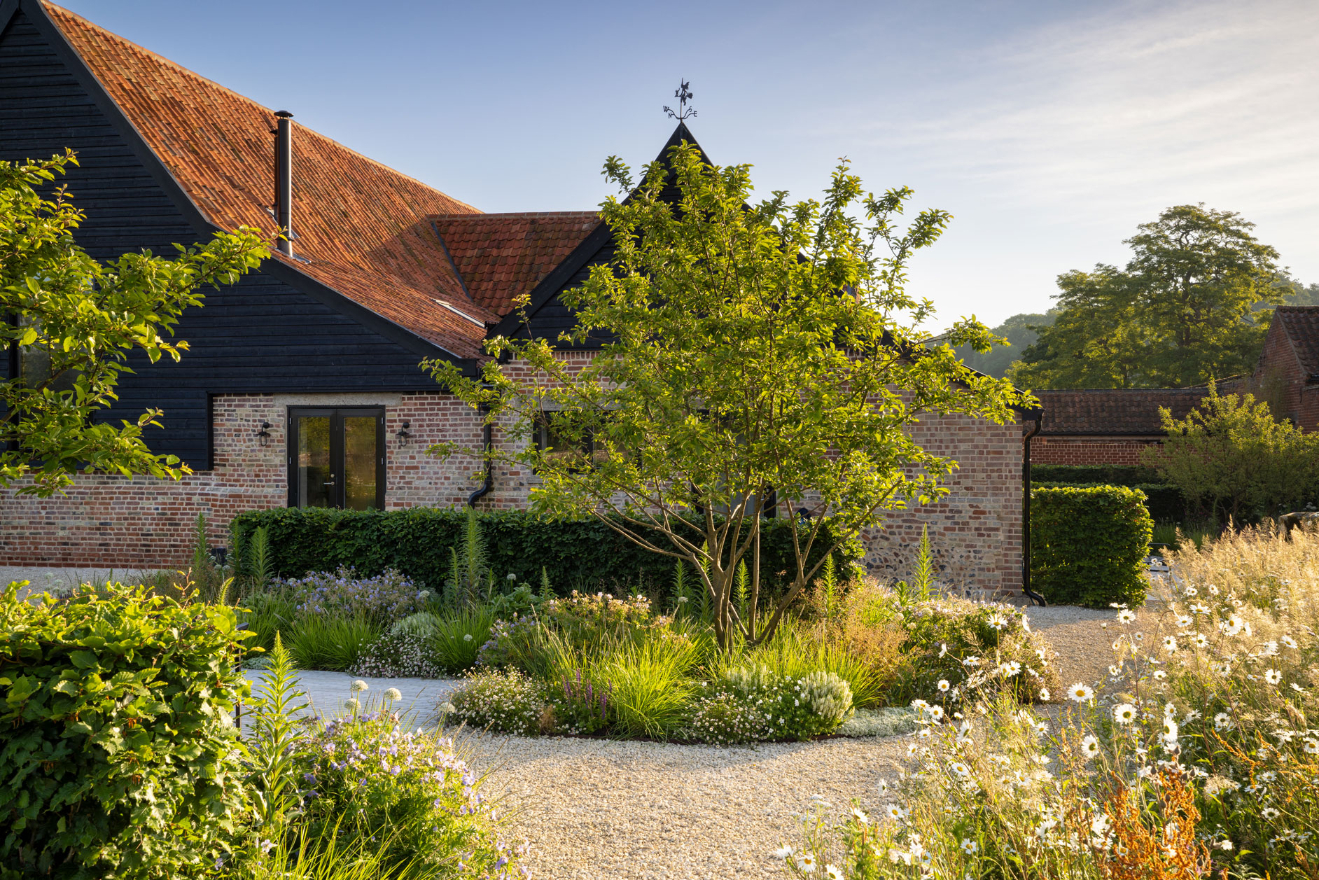 Colm Joseph suffolk walled garden converted barn modern home naturalistic planting design wildflowers beech hedge multi-stem crabapple malus tree