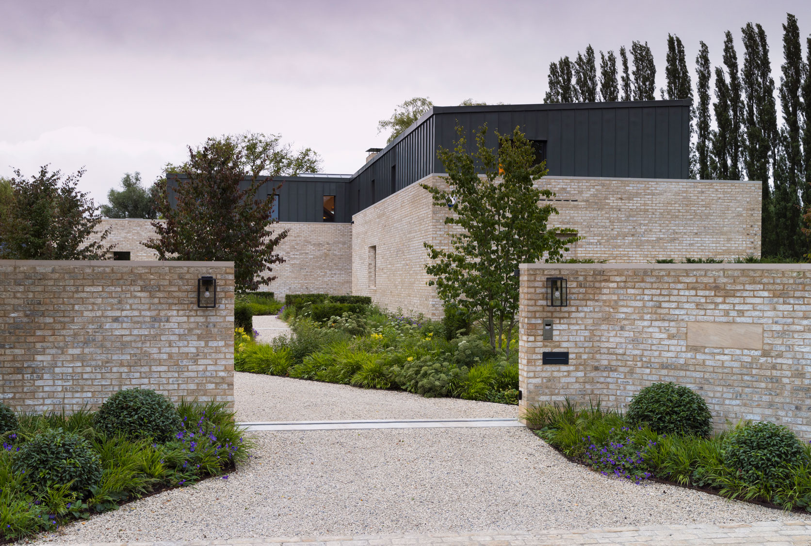 Colm Joseph modern country garden cambridgeshire house entrance walls gravel driveway front garden naturalistic perennial planting parrotia persica trees