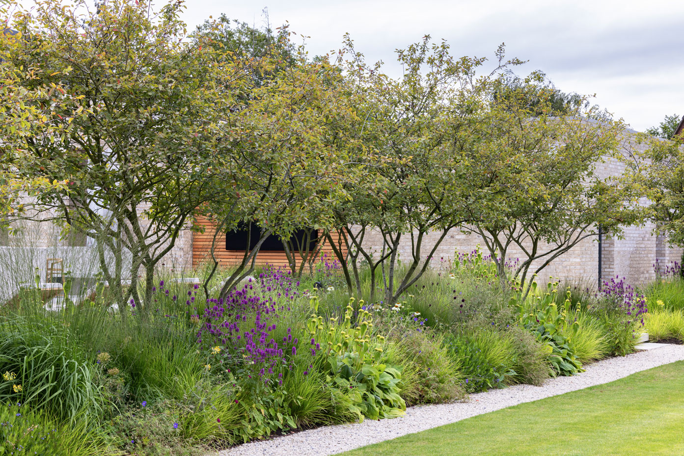 Colm Joseph modern country garden cambridgeshire multi-stem amelanchier naturalistic perennial design planting gravel path lawn