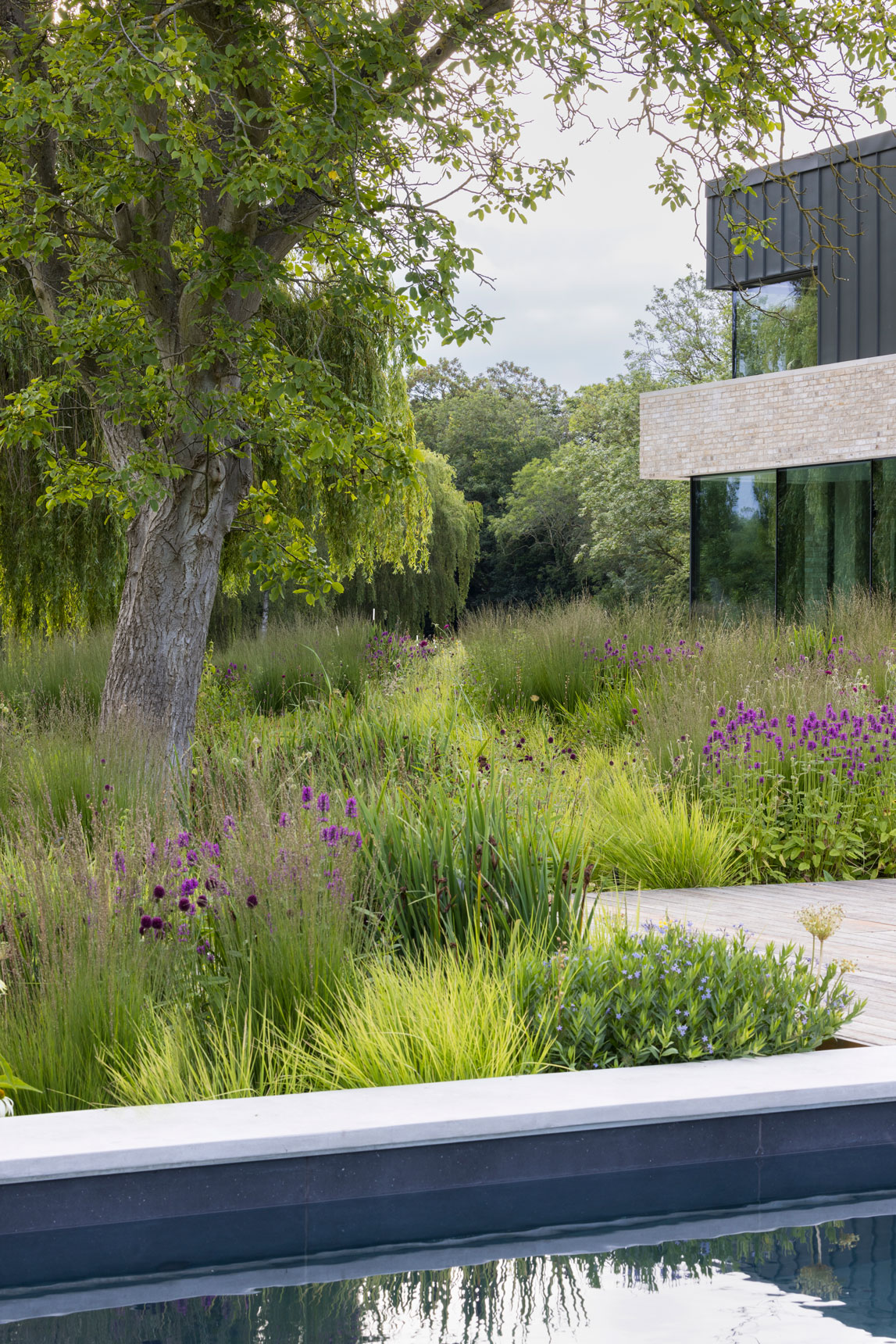 Colm Joseph modern country garden cambridgeshire naturalistic planting design swimming pool timber deck modern architecture home sesleria molinia amsonia betonica