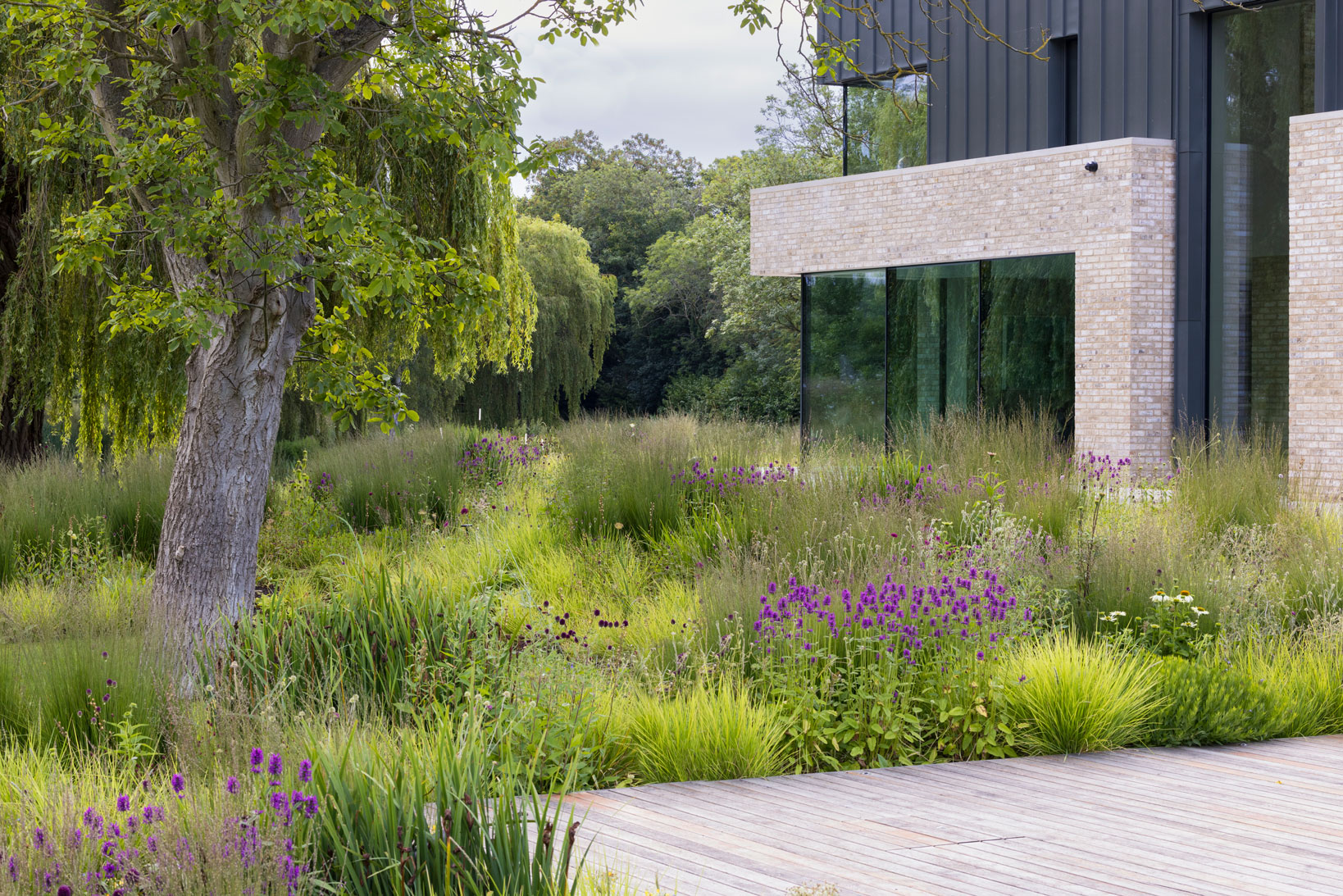 Colm Joseph modern country garden cambridgeshire naturalistic planting design timber deck modern architecture home