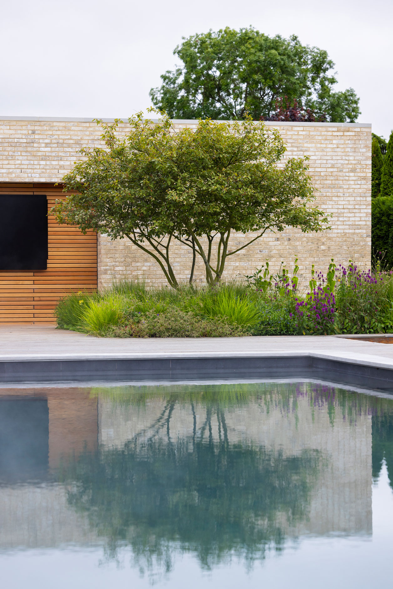 Colm Joseph modern country garden cambridgeshire swimming pool amelanchier lamarckii tree water reflections naturalistic planting design