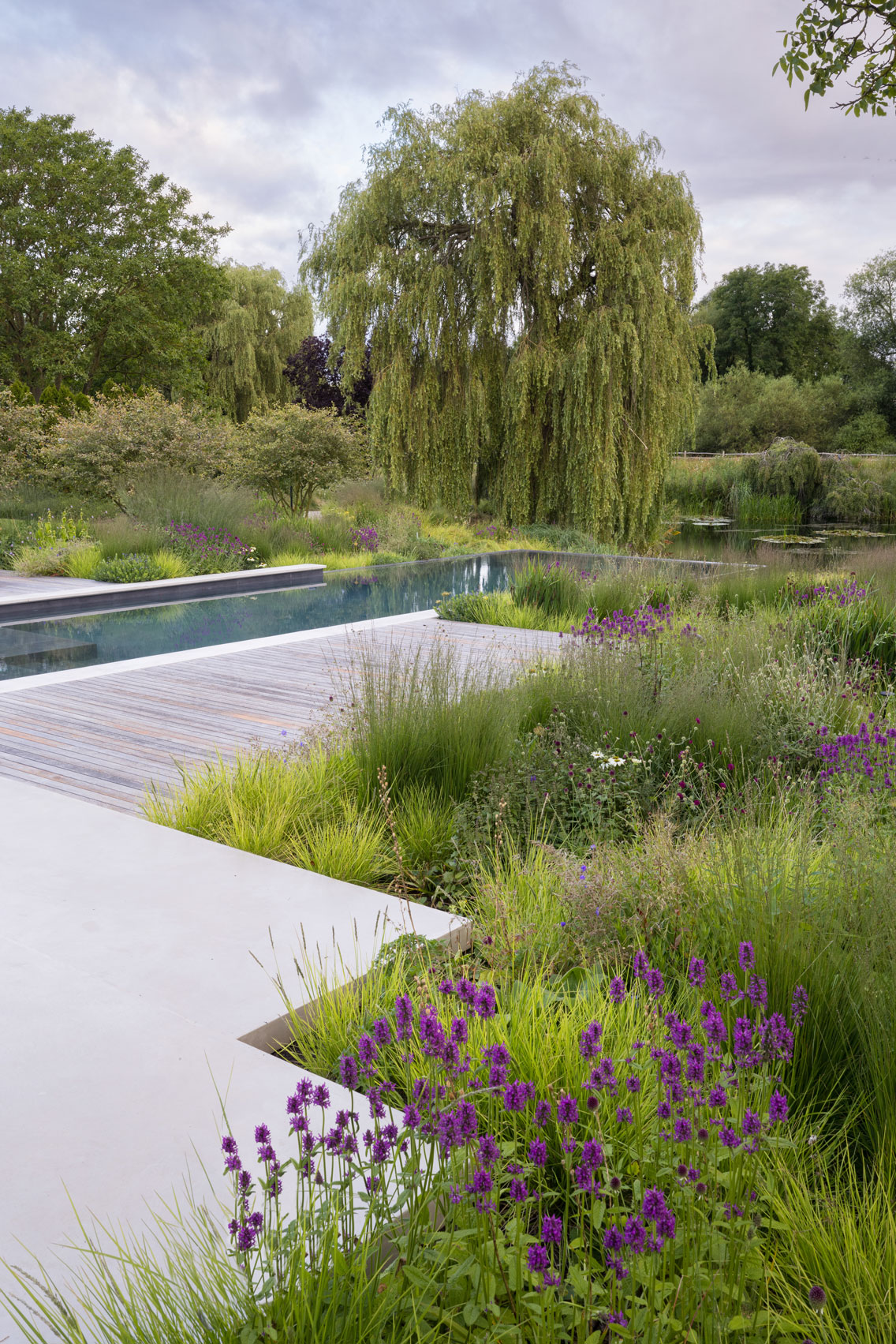 Colm Joseph modern country garden cambridgeshire swimming pool in naturalistic planting design concrete steps timber deck lake view weeping willow tree