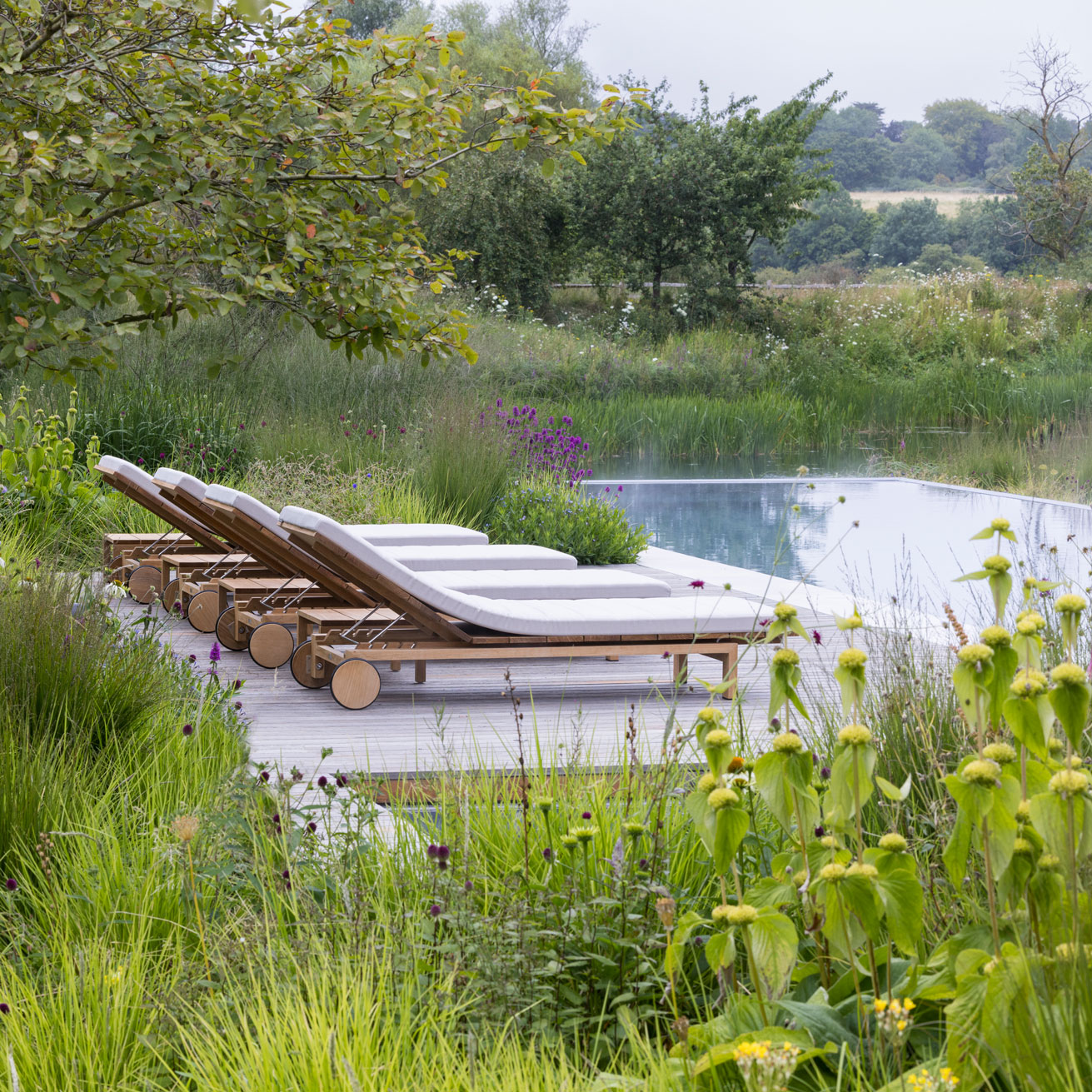 Colm Joseph modern country garden cambridgeshire swimming pool timber deck loungers naturalistic planting landscape lake view sesleria molinia phlomis betonica hummelo