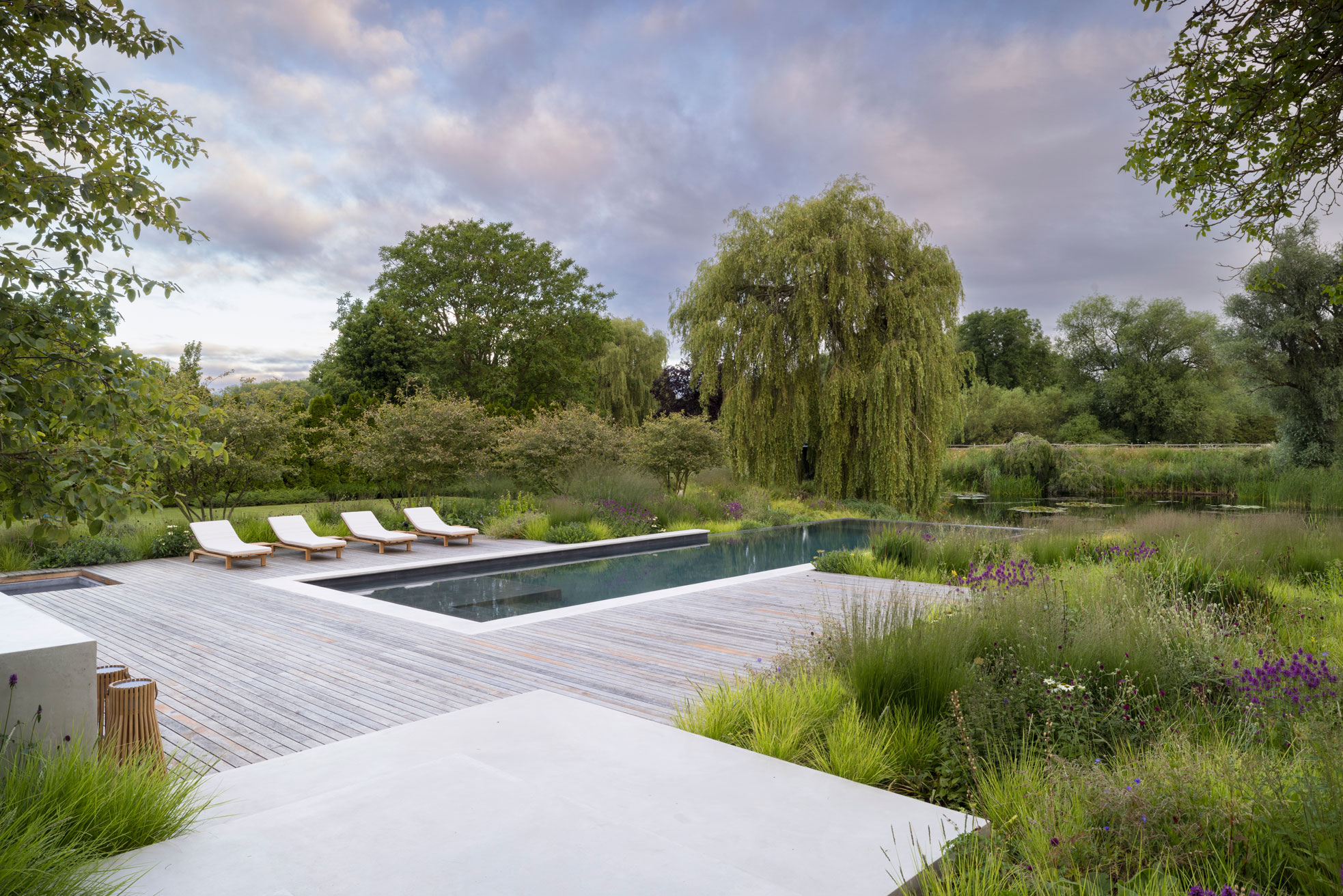 Colm Joseph modern country garden cambridgeshire swimming pool timber deck sun loungers naturalistic planting design concrete steps landscape view weeping willow tree