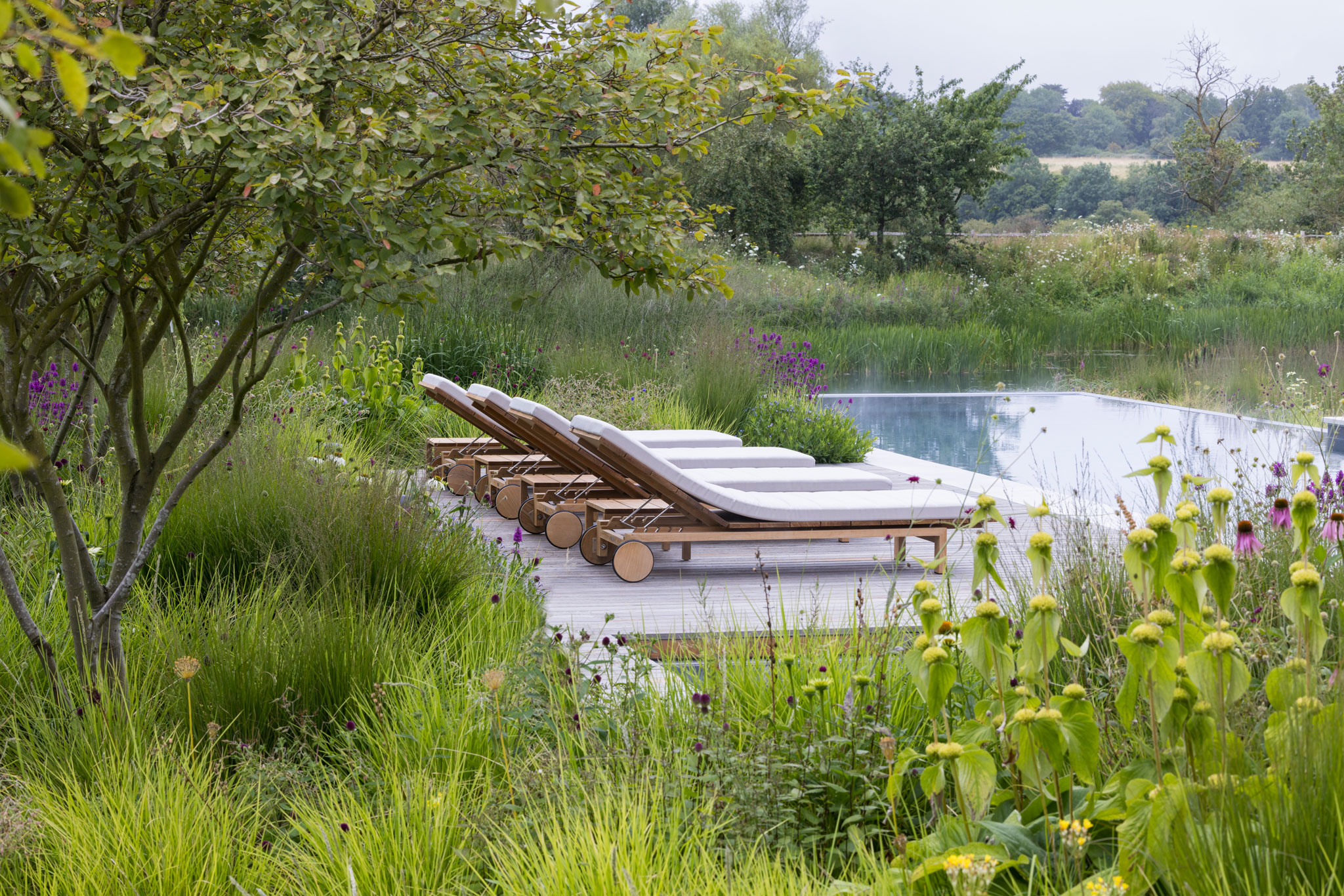 Colm Joseph modern country garden cambridgeshire swimming pool timber deck sun loungers naturalistic planting design lake view sesleria molinia phlomis betonica hummelo